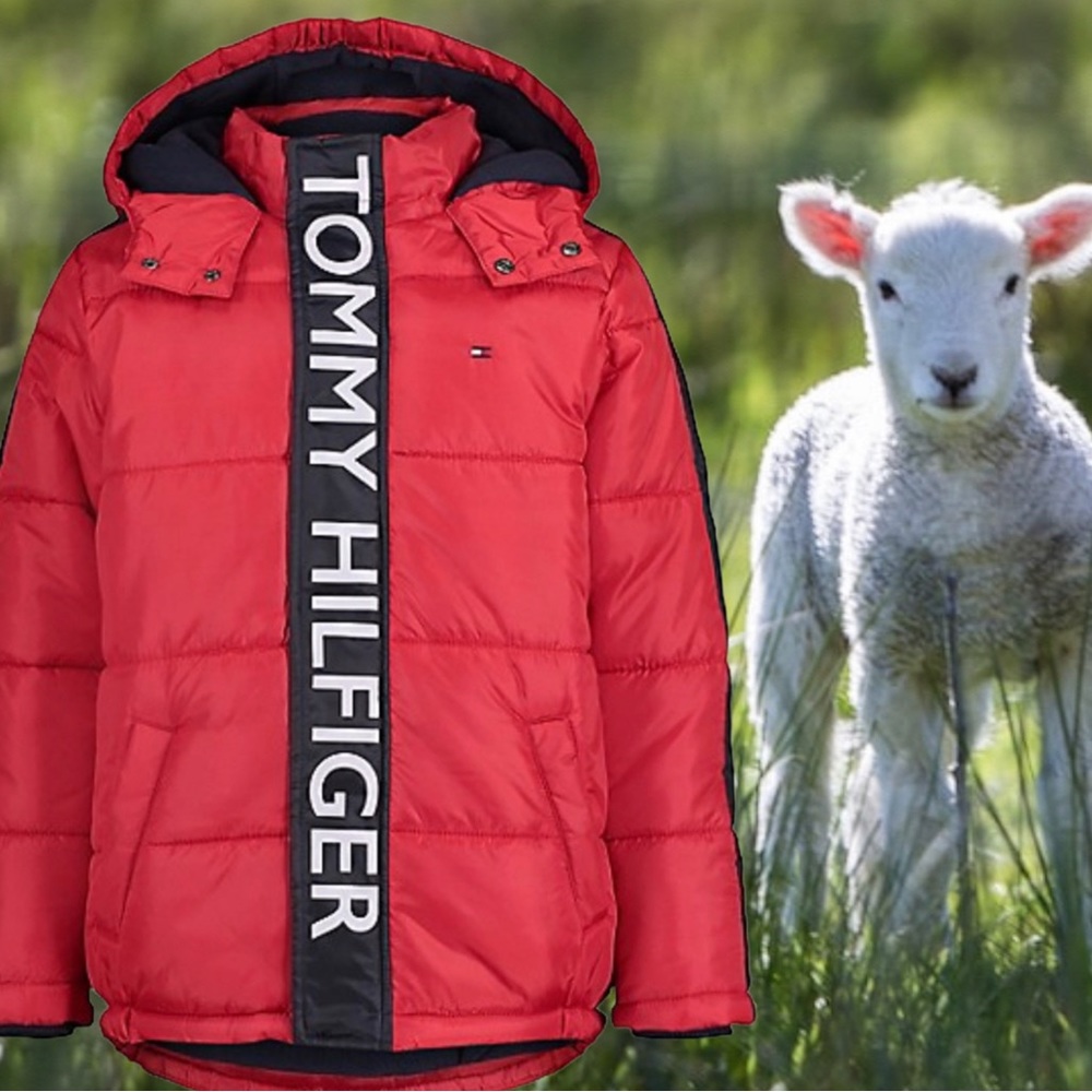 NWOT. TOMMY HILFIGER BIG KIDS PUFFER. 10/12